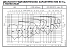 NSCF 200-315/75/W65VDC4 - График насоса NSC, 4 полюса, 2990 об., 50 гц - картинка 3